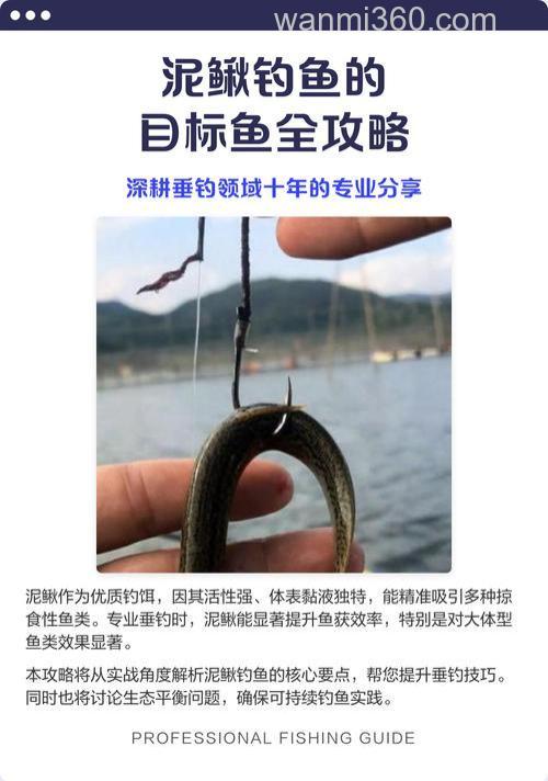 泥鳅最佳配方钓鲤鱼？