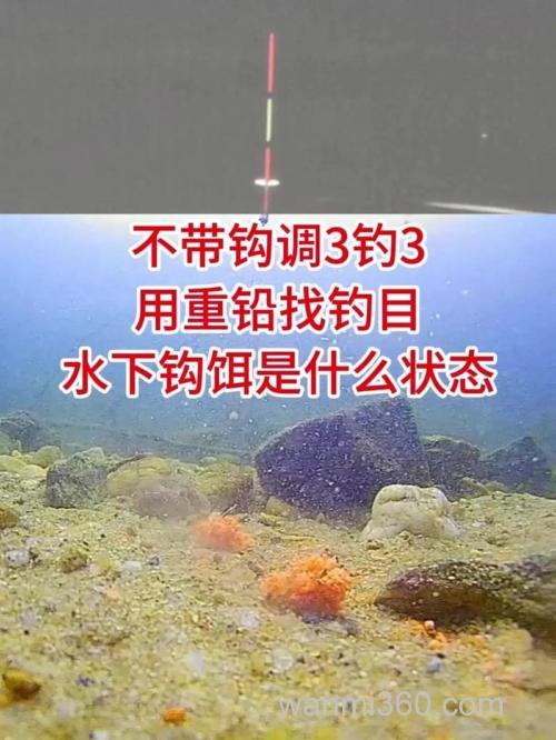 带钩调三钓三和不带钩调三钓三哪个好?