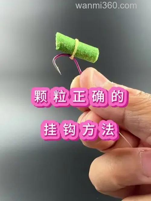 钓草鱼如何挂粿粒?