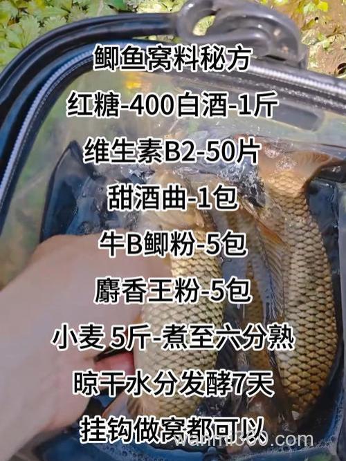 钓鲫鱼用什么自制饵料？