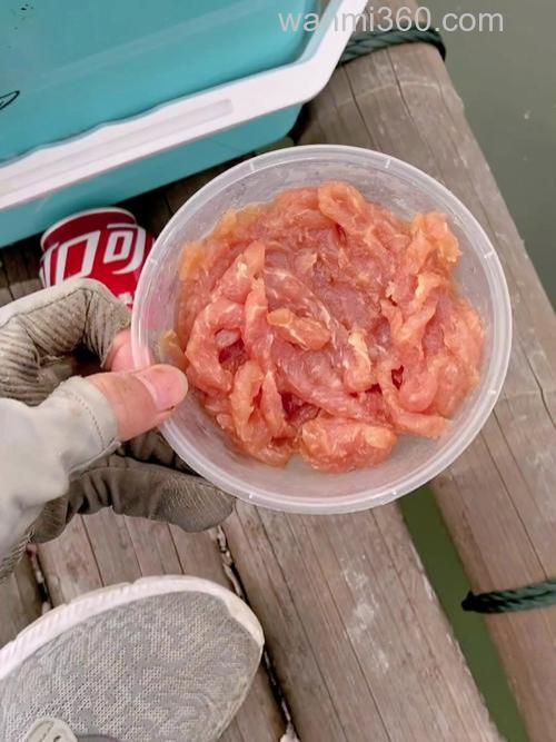 用猪肉可以钓鱼吗?