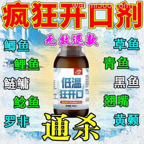 冬天钓鲫鱼用什么小药