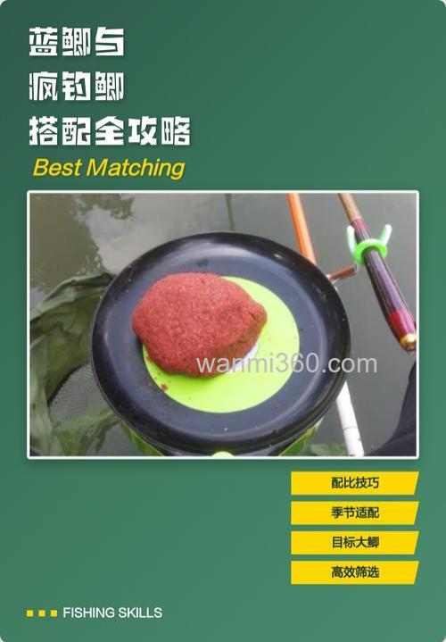 蓝鲫加疯钓鲫本味效果怎么样？
