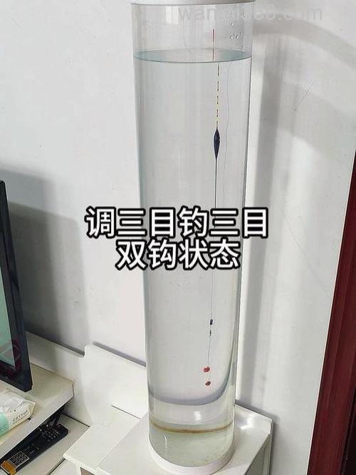 带钩调三钓三水下状态是怎样的?