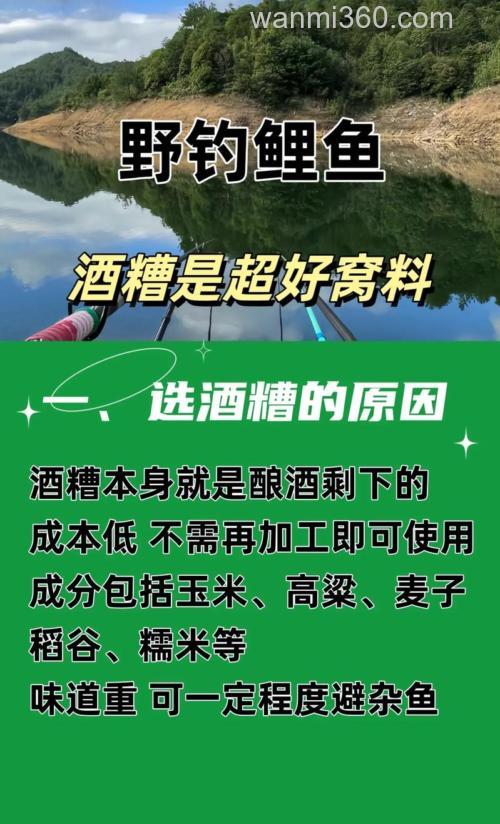 酒糟钓鱼的正确方法?