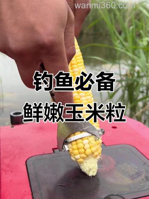 用嫩玉米钓鱼要加什么料才好钓