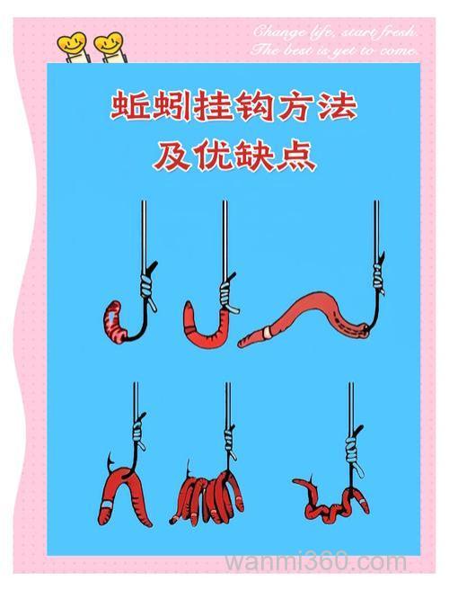 蚯蚓钓鱼用什么打窝最好？钓鱼穿蚯蚓有哪些技巧？