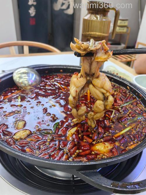 啤酒煮老蚕豆能钓鲤鱼?