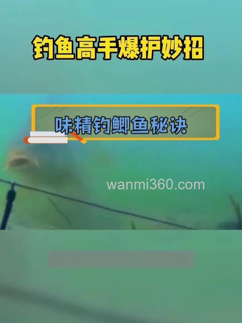 味精钓鲫鱼的正确方法?