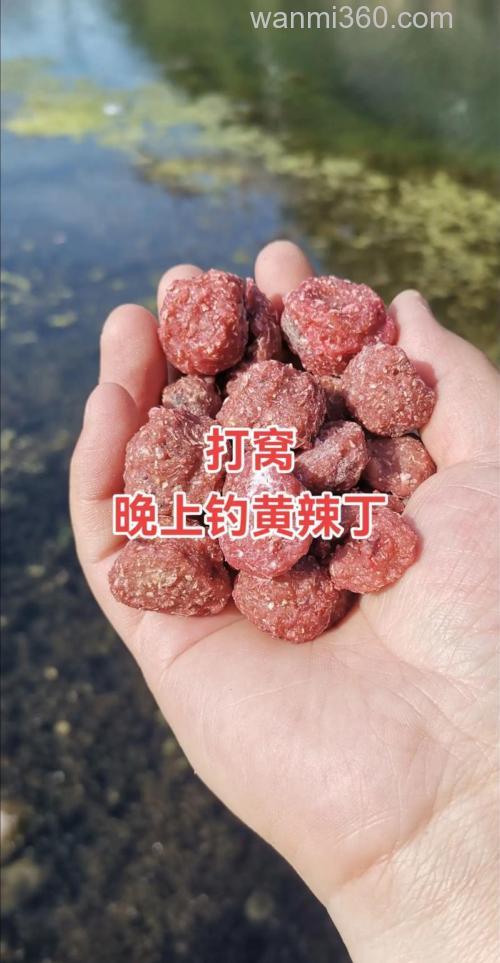 夜钓提前多久打窝最好?