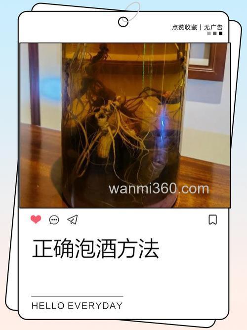 怎样泡麝香酒 有直接的地方吗?