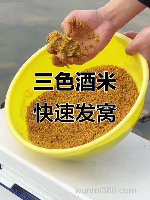 酒米打窝多久发窝?酒米打窝多久补一次窝?