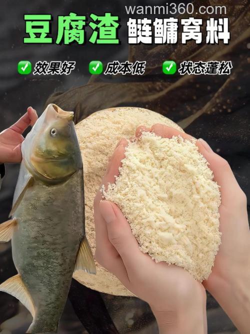 民间豆渣鲢鳙饵料配方?