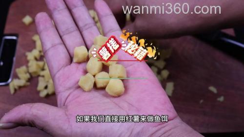 红薯加菜籽枯怎么做饵料？