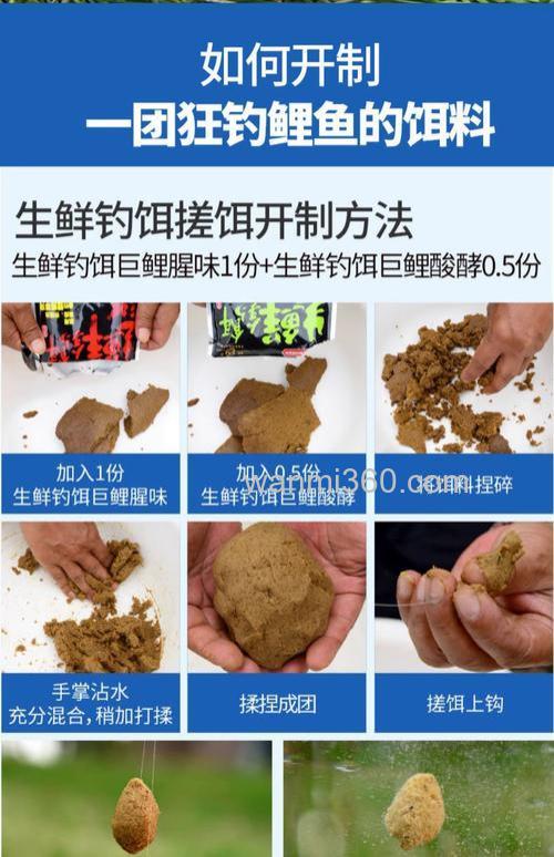 发酵鲤鱼饵什么时候用最好?