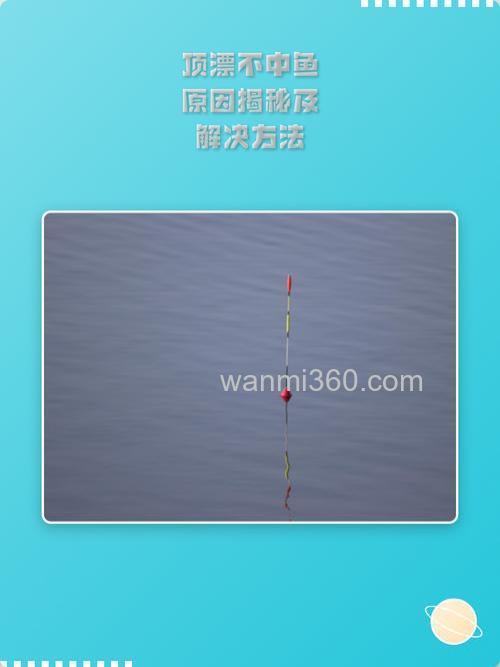为什么顶漂提竿不中鱼?