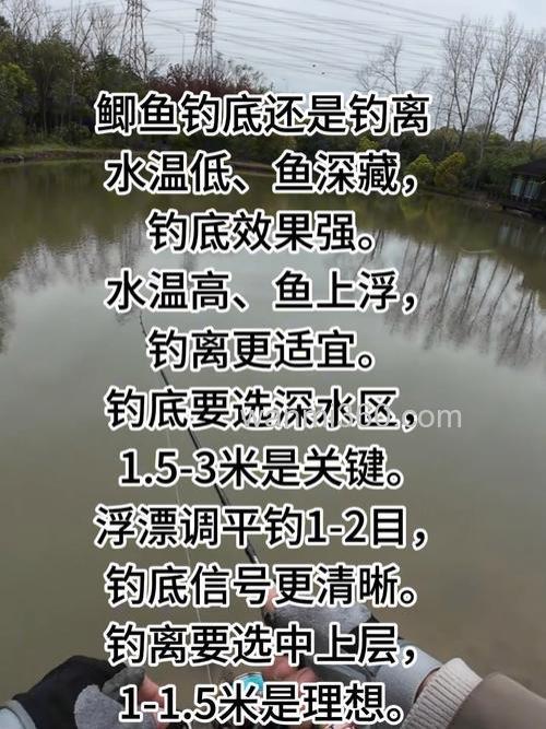 水库钓鲫鱼白天钓不下晚上能钓下是什么情况?