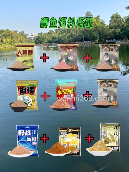 水库这个季节钓鱼,鲫鱼与鲤鱼选用什么饵料