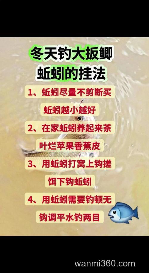 蚯蚓钓鲫鱼怎么打窝?