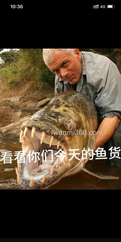 世界钓鱼大师排名前十名?