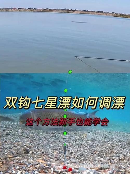 七星漂双钩正确的调漂方法是什么?