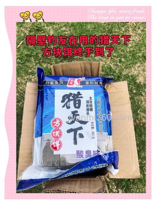 用大肚漂钓鲢鳙用哪种方块饵好？