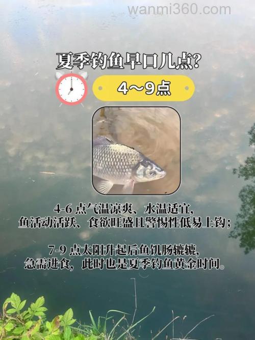 鲫鱼鳊鱼草鱼混养池塘怎么钓