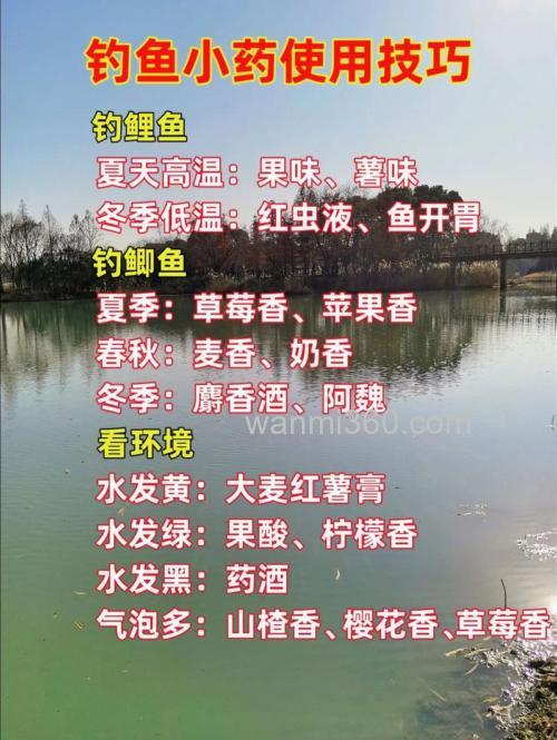 钓鱼小药花香为主怎么搭配？