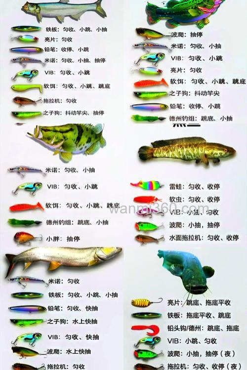 大比重的商品饵怎么辨别?