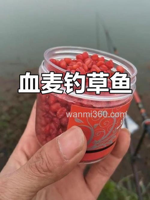血麦钓鱼真实效果?