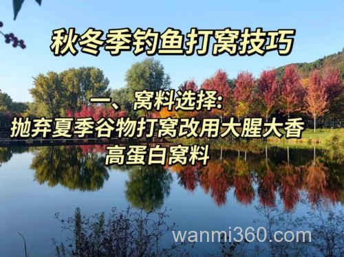 秋季钓鱼打窝多久发窝?秋季窝料打窝方法有哪些?