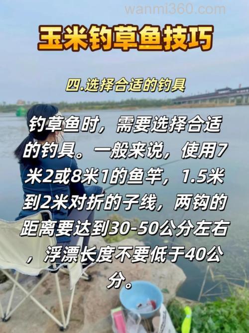钓草鱼用玉米子如何钓