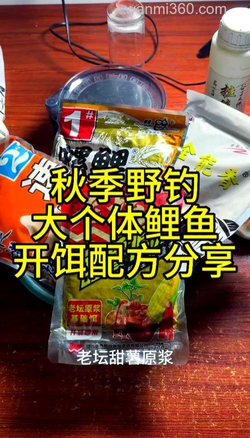 竞技钓秋季钓混养塘老鬼钓鲤鱼用什么饵料