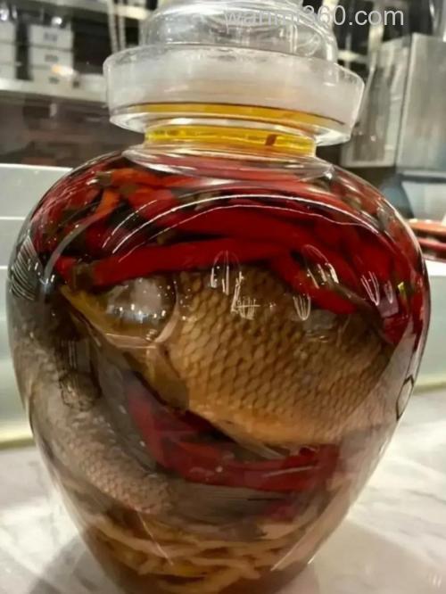 野生鲫鱼怎么泡酒?