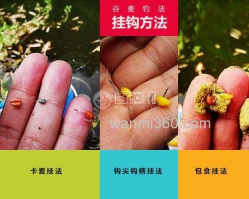 麦粒钓鱼教学?
