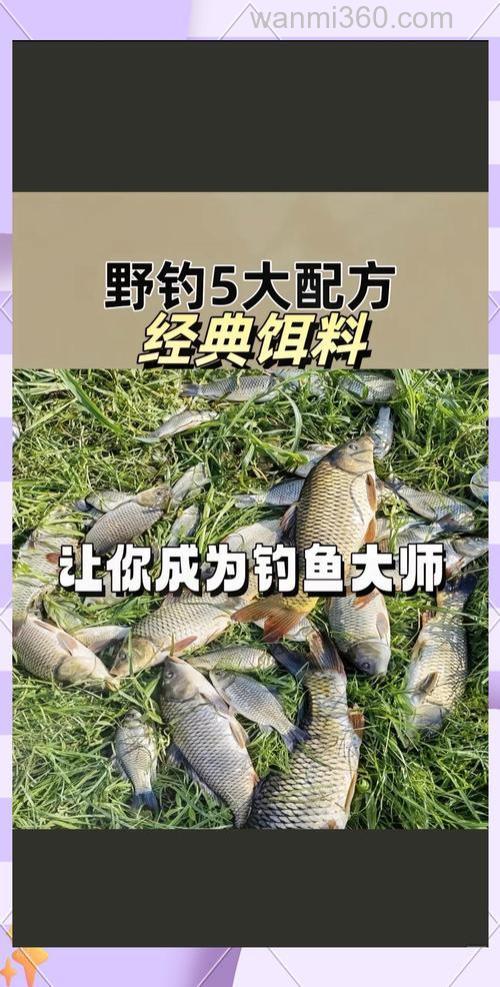 全能香适合钓什么鱼?