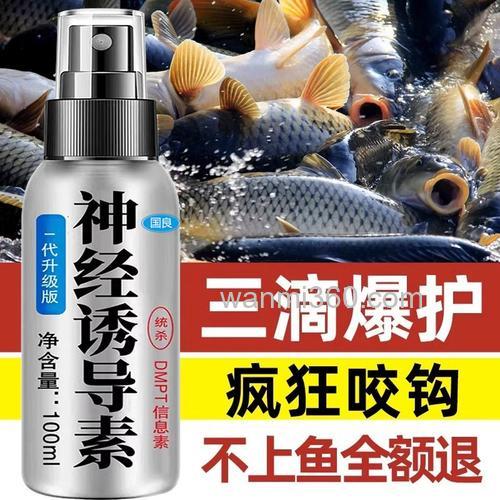 黑坑钓鲤鱼加什么小药好？