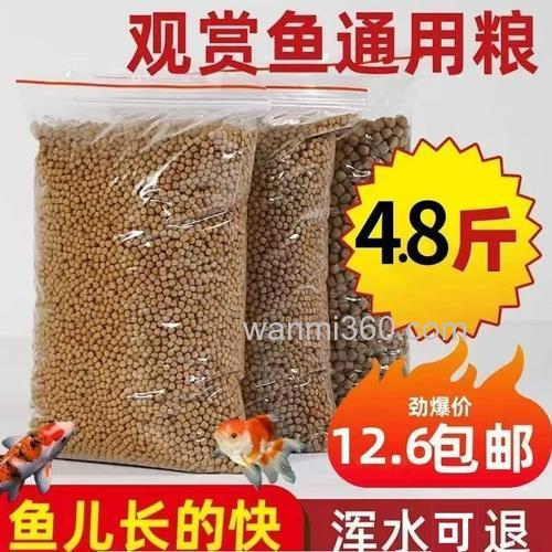 小金鱼的饲料小鲫鱼能吃吗?