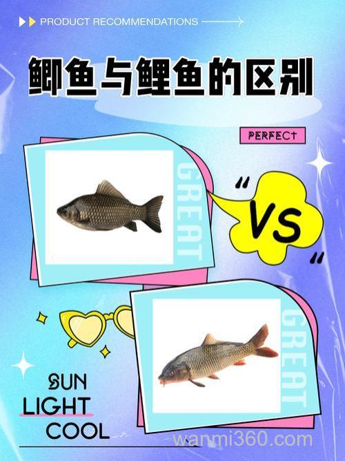 小鱼停口了是不是有大鱼?从5个方面详细解析