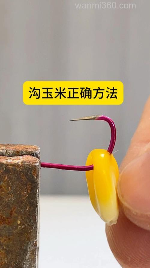 玉米钓饵怎样挂钩？