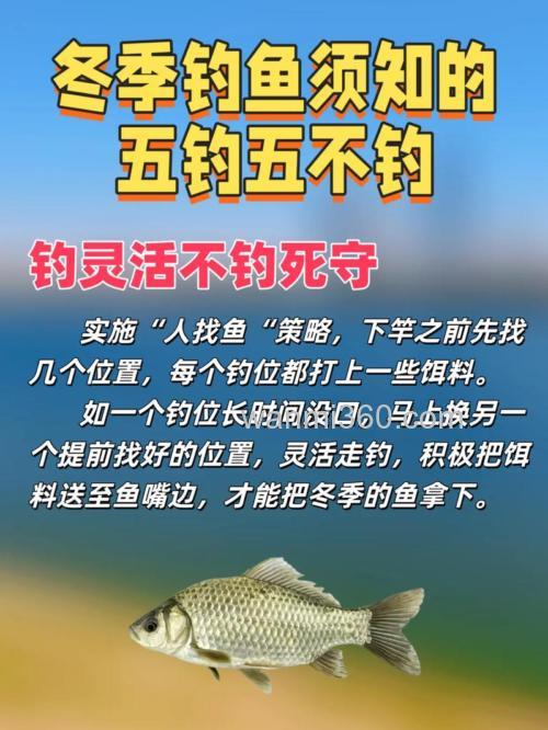 冬季钓鲫鱼别人浅水连杆,切记不要钓深水