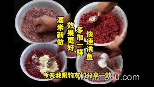 酒米打窝的正确打法有哪些?介绍2种打窝方法!