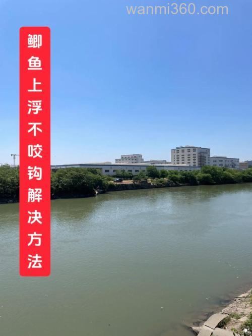 为什么鲫鱼吃钩漂不动？
