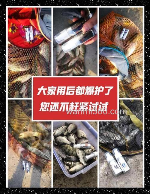 红糖开饵钓鲤鱼效果?