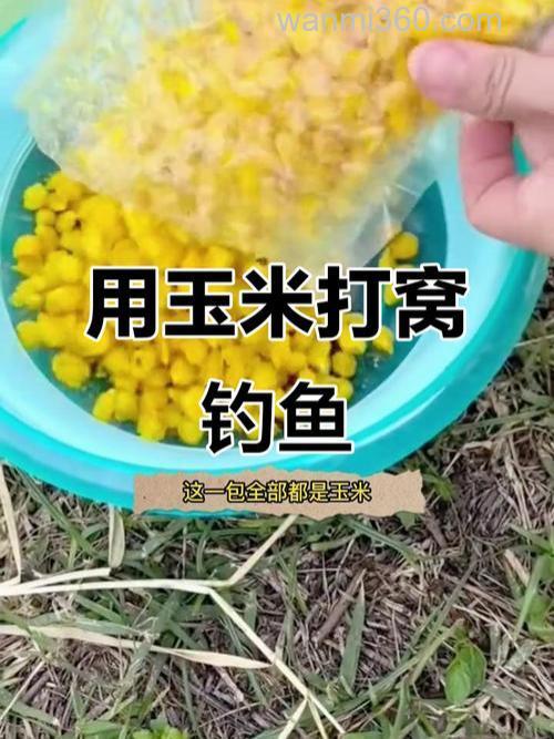 玉米钓鱼能钓什么,能打窝吗