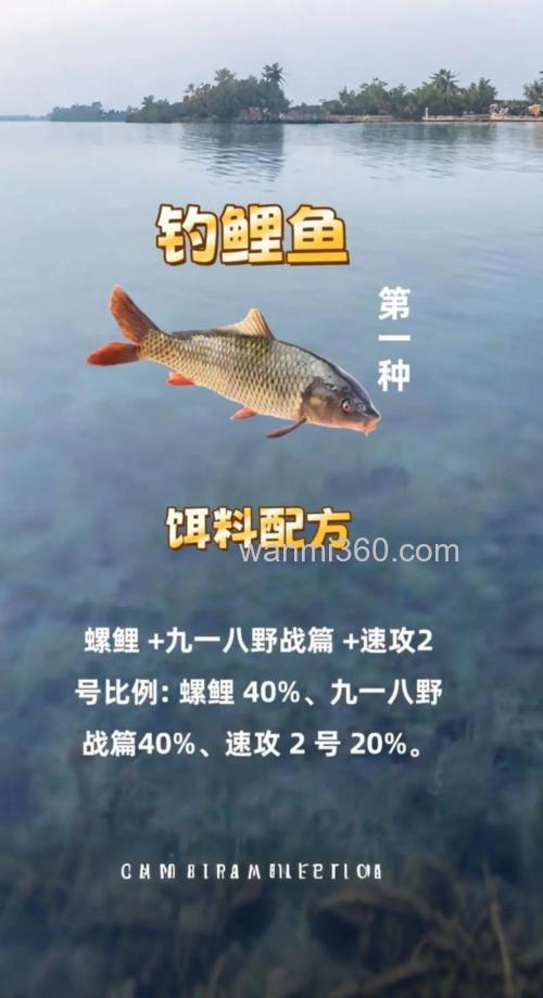 清明钓鲤鱼饵料搭配?