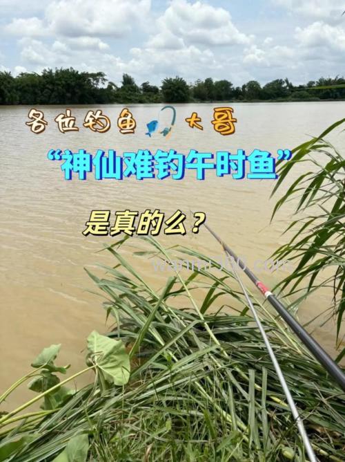 神仙难钓午时鱼是指几点？