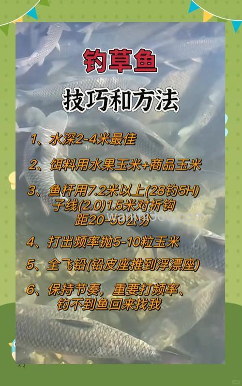 野外垂钓，如何诱钓大草鱼？