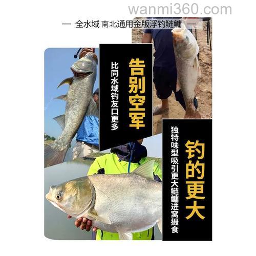 金版浮钓鲢鳙什么味型?