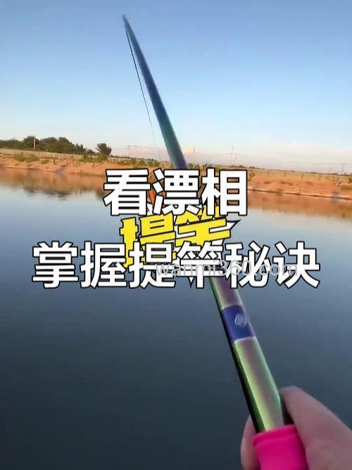 漂相与提竿时机一样吗?